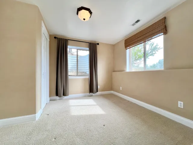Carpeted room featuring two windows, one with a woven wood blind, and a ceiling-mounted light fixture
