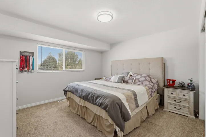 Carpeted bedroom featuring a large window, a built-in light fixture, and neutral wall tones
