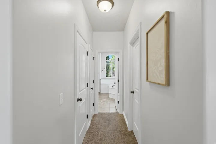 Hallway featuring a flush-mount light fixture, white paneled doors with dark hardware, and carpet flooring