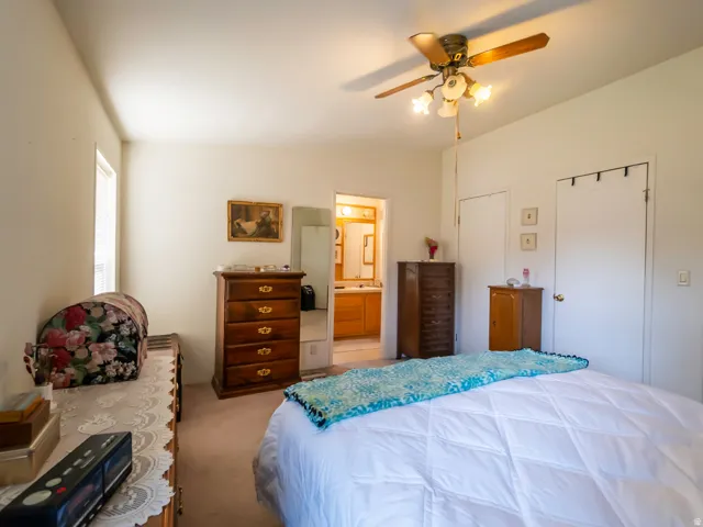 Spacious bedroom featuring light-colored walls and soft carpet flooring