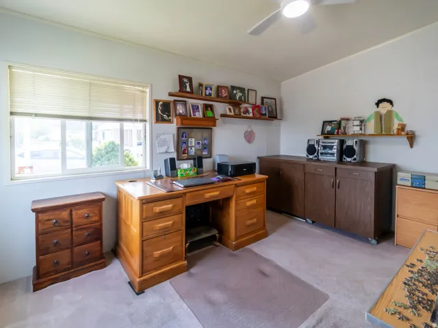 Carpeted room with a ceiling fan, a window with horizontal blinds, and wall-mounted shelving