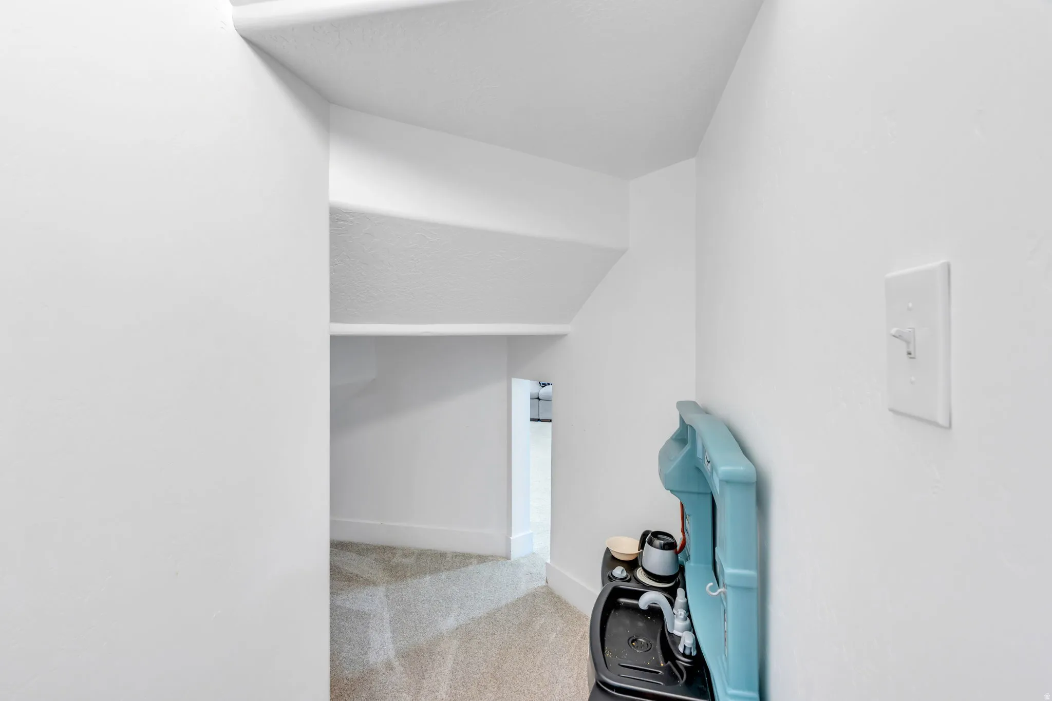 Under-stair storage area featuring white painted walls and neutral carpet