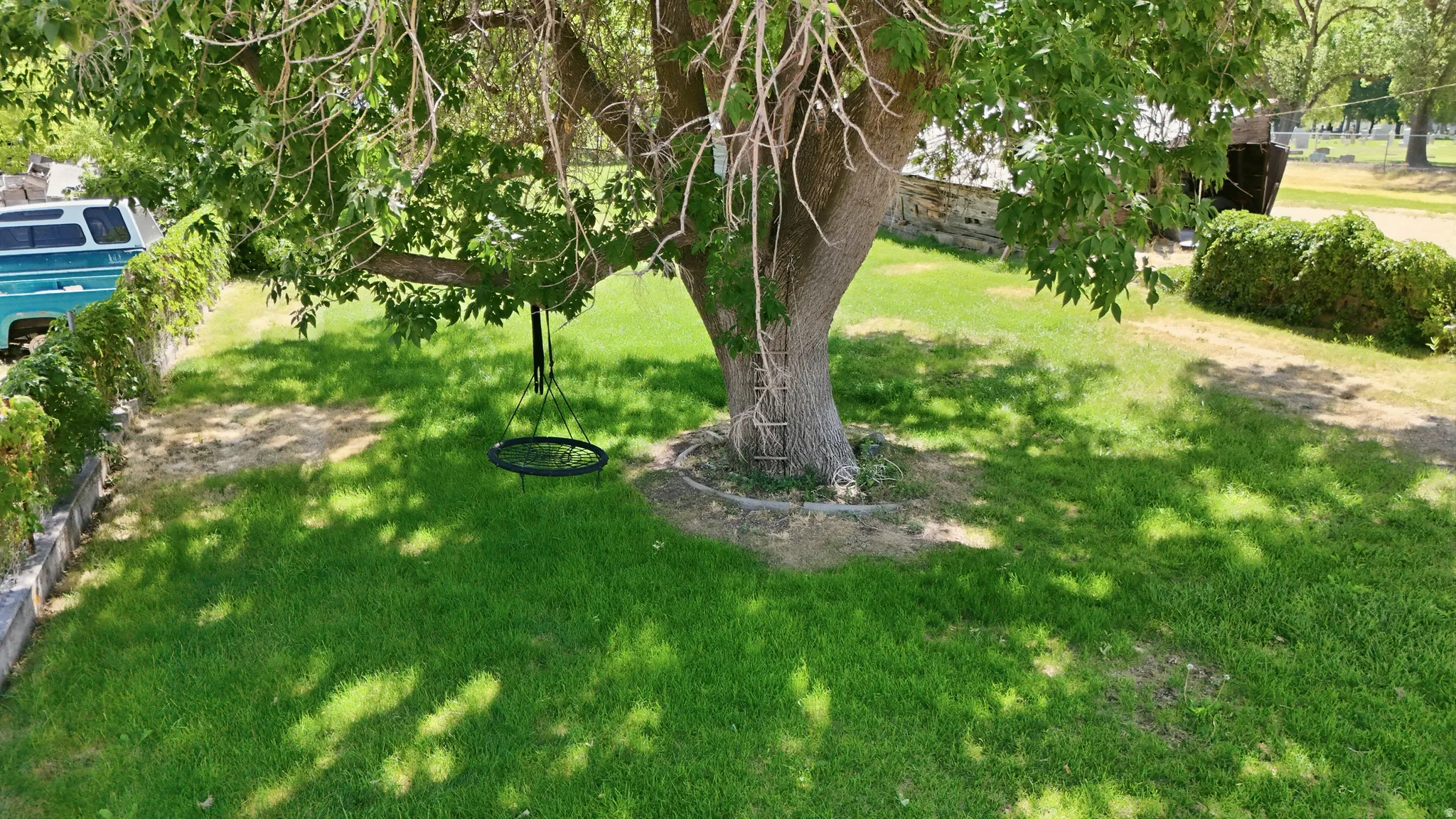 Beautiful, mature shade trees!