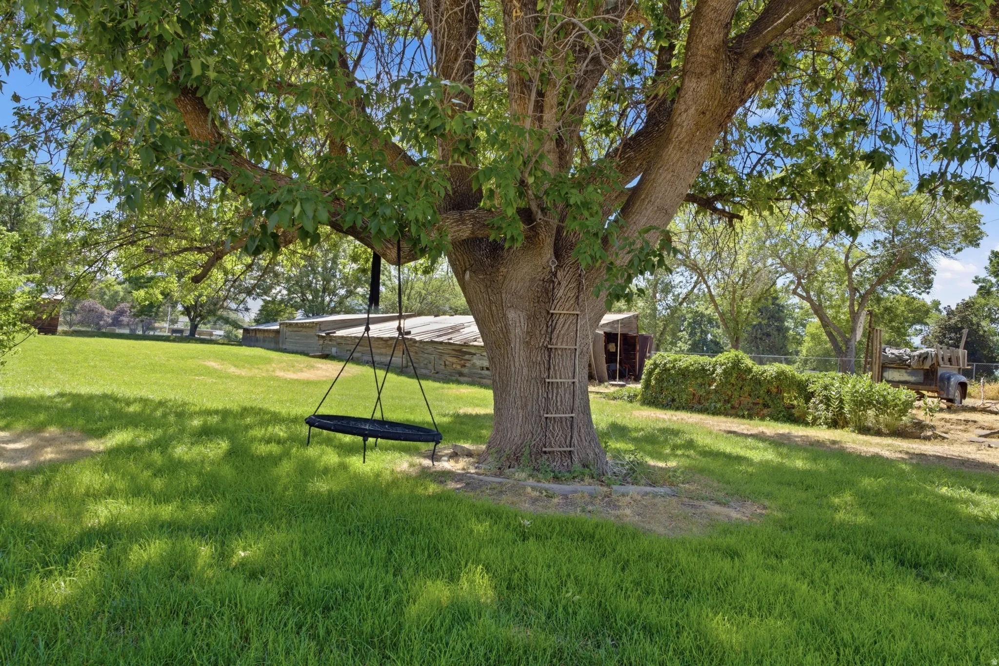 Fun ladder & swing in a huge, prominent tree!