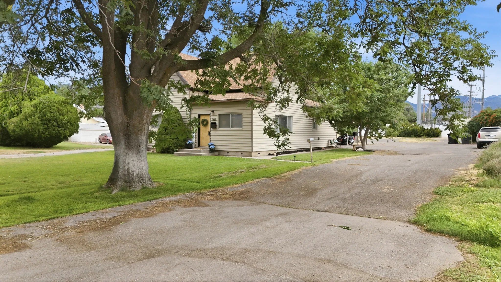 Beautiful, mature trees around the yard.