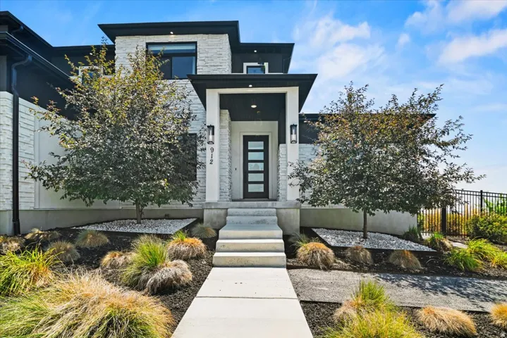 Contemporary exterior featuring stone veneer accents, a dark wood-finish entry door with frosted glass panels, and a concrete pathway leading to the entrance