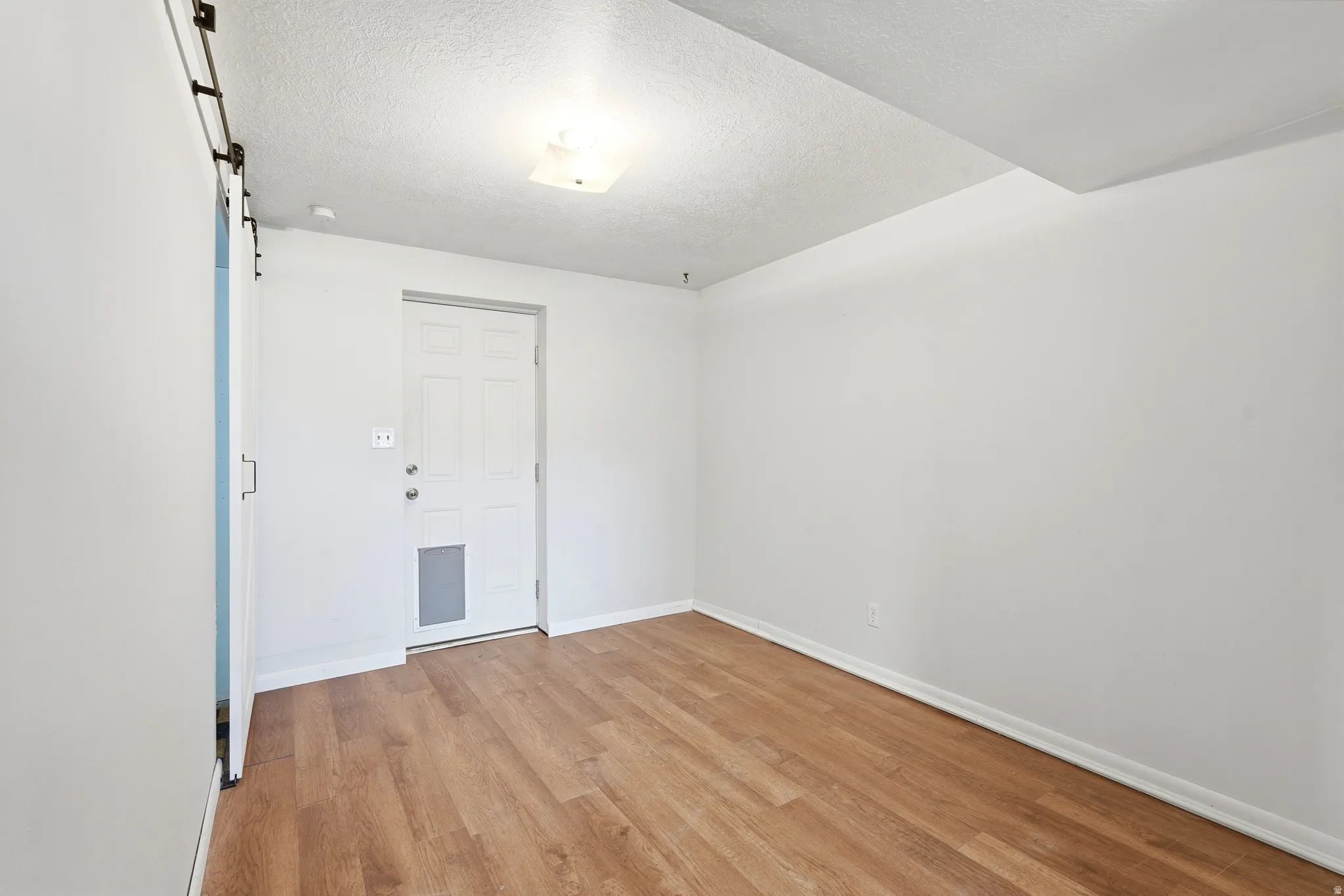 Room featuring wood-finish flooring, a white paneled door with a pet access panel, and a modern barn door with black hardware