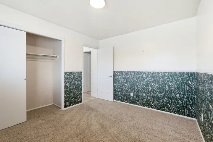 Carpeted room featuring a ceiling light fixture, white walls, and a green botanical print wainscoting
