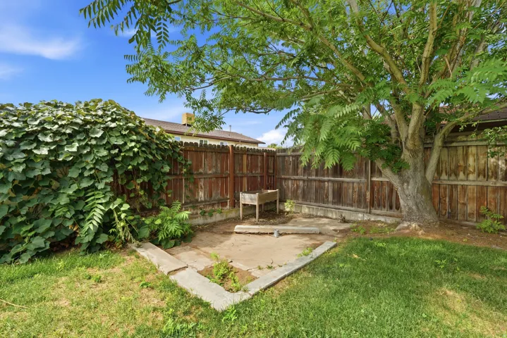 Expansive backyard featuring a mature shade tree, privacy fencing, a concrete patio area, and a lush green lawn