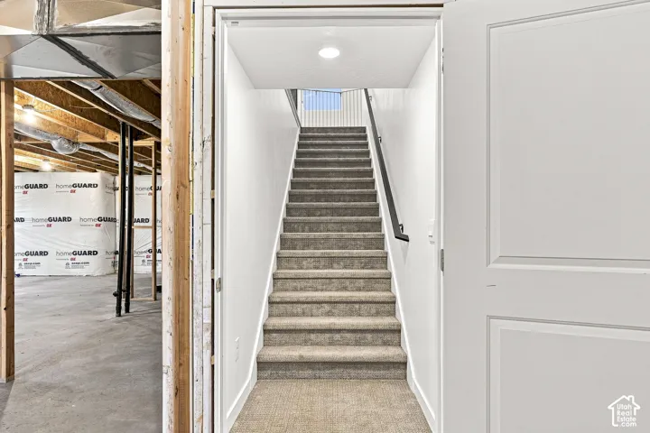 Carpeted staircase with a black metal handrail and white trim