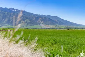 Expansive green fields with a mountain range backdrop under a clear blue sky