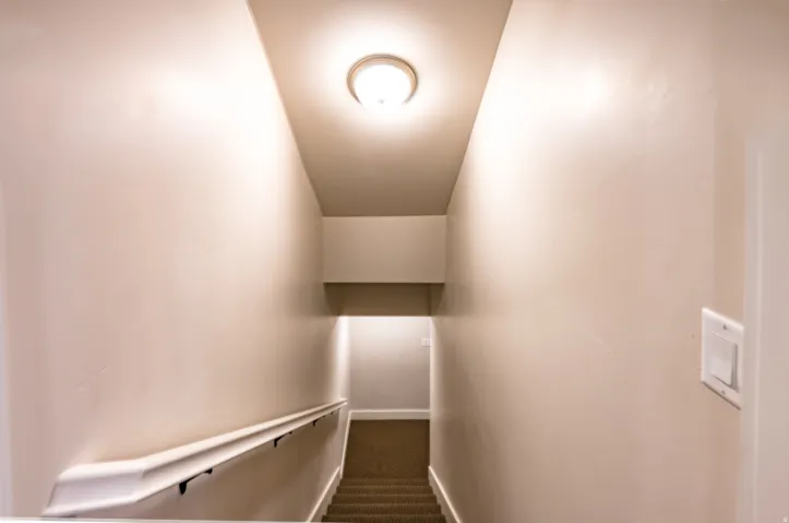 Staircase featuring carpeted treads, a white handrail with black brackets, and a flush-mount ceiling light fixture