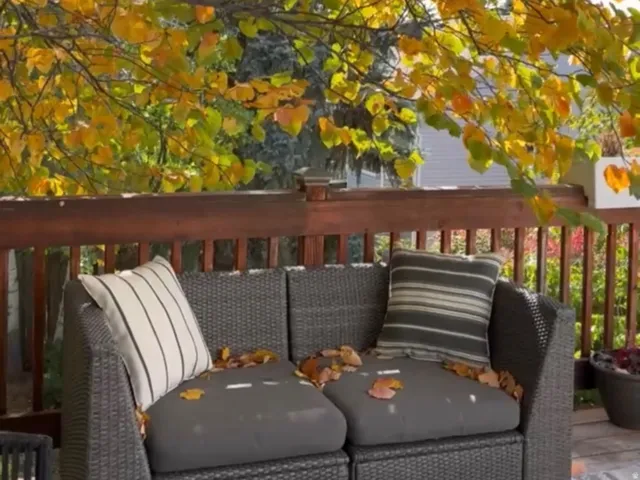 Outdoor deck with wood railing, decorative string lighting, and mature foliage