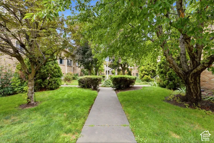 Inviting common area featuring a central paved walkway, surrounding green lawn, mature trees, and established shrubbery.