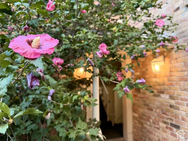 Well-lit entry and lush blooms.