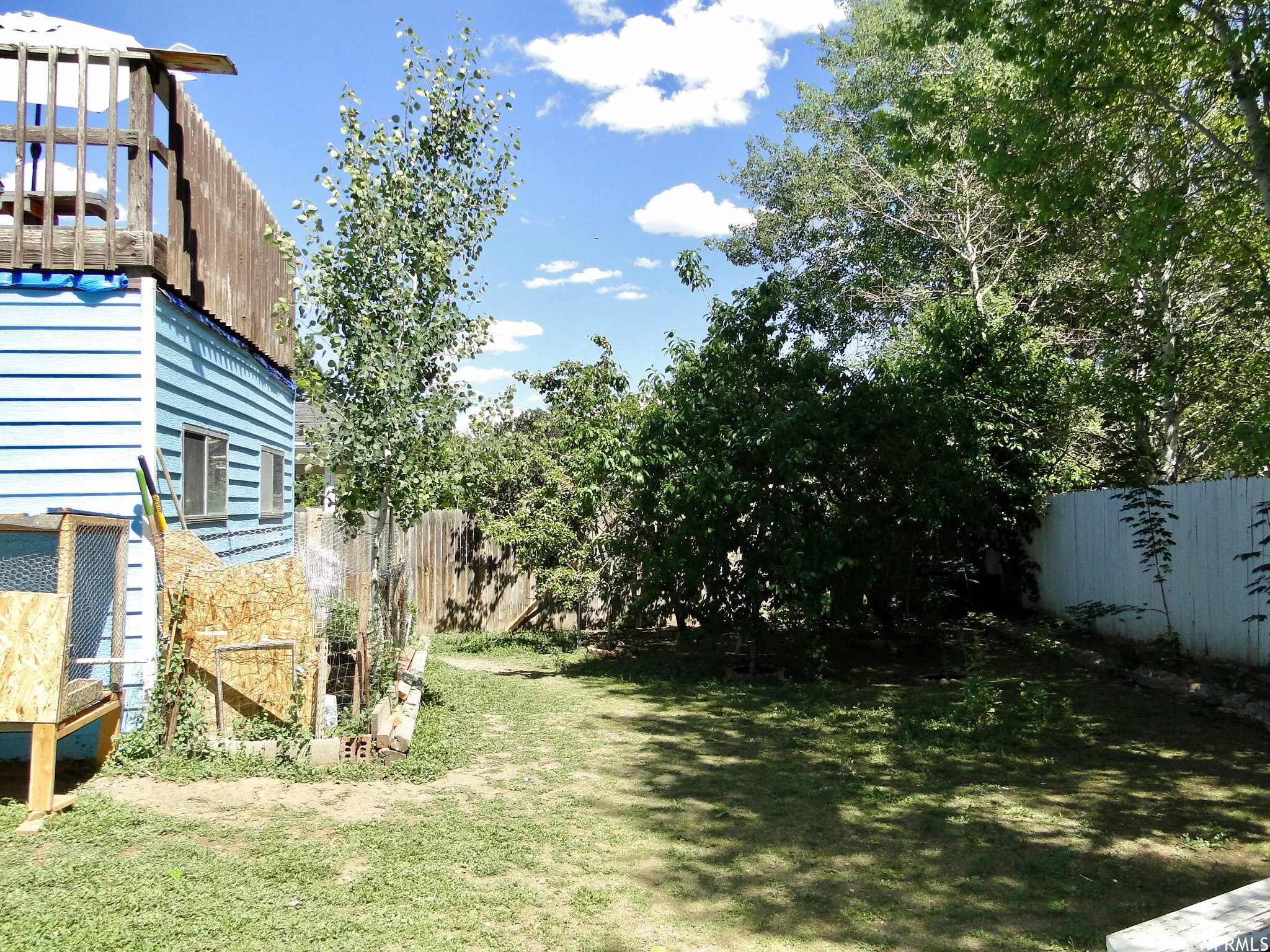 Expansive backyard featuring a wood privacy fence, mature trees, and a grassy lawn