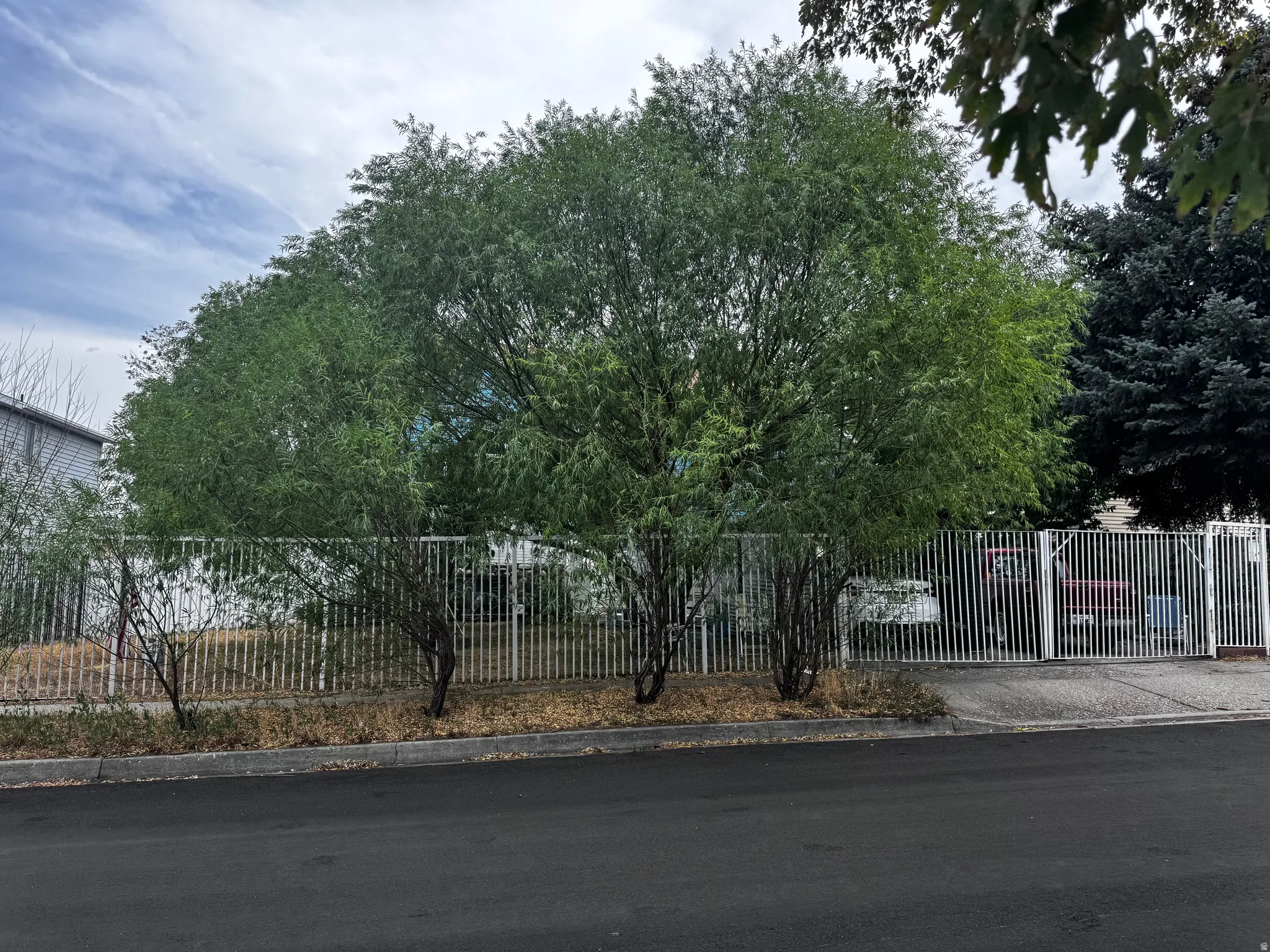 Gated property featuring mature trees and a paved street frontage
