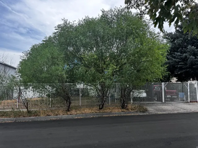 Gated property featuring mature trees and a paved street frontage