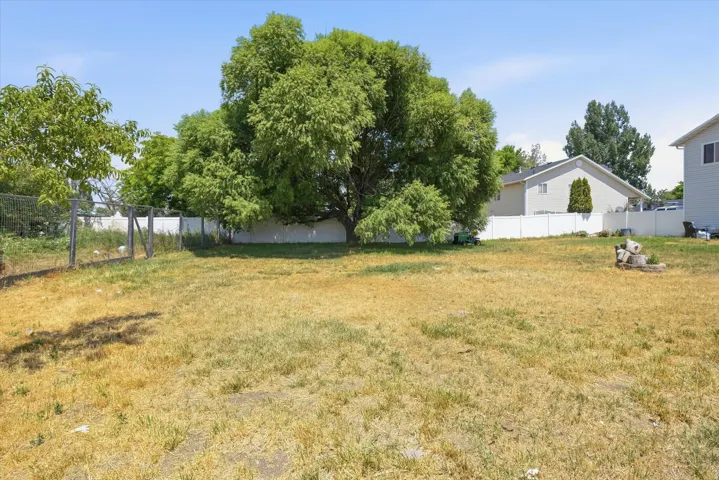 Spacious backyard area featuring a large mature tree, a privacy fence, and a chain-link fence