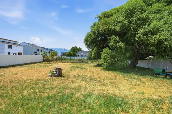 Expansive backyard featuring a mature deciduous tree providing natural shade