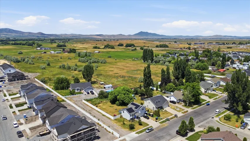 Suburban neighborhood featuring varied architectural styles and mature trees