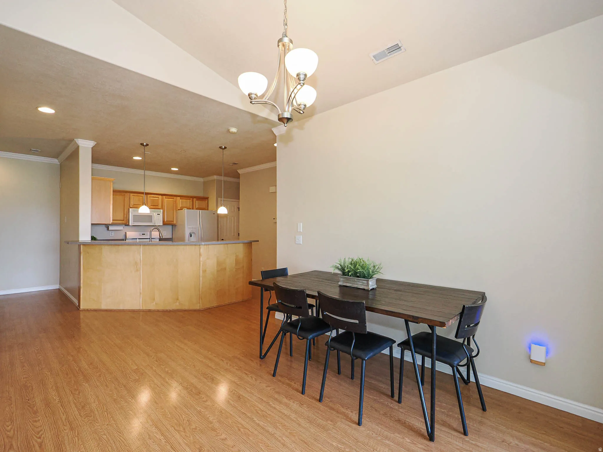 Open concept kitchen and dining area with wood-finish flooring