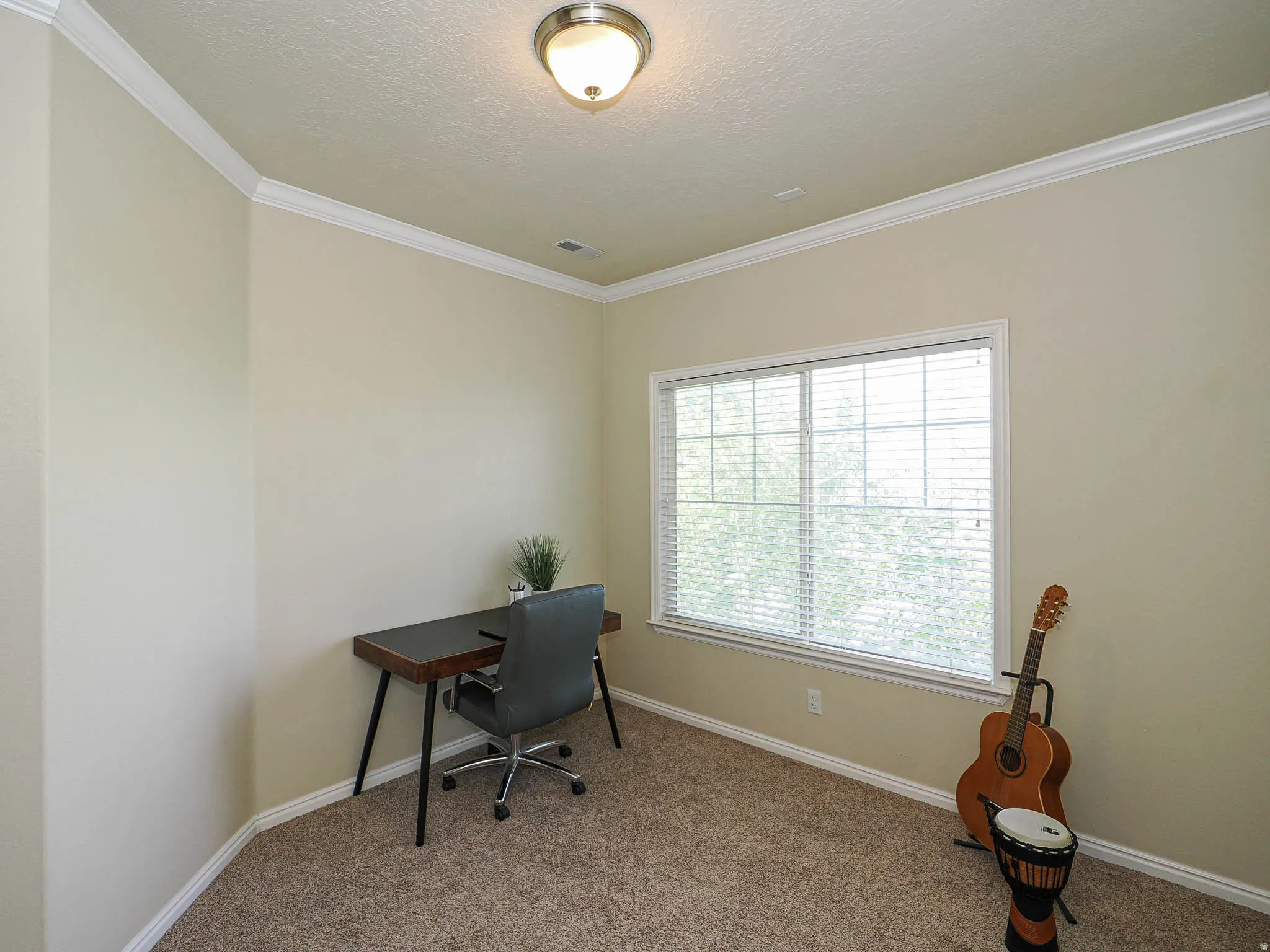 Room with neutral wall paint, white crown molding, and textured carpeting