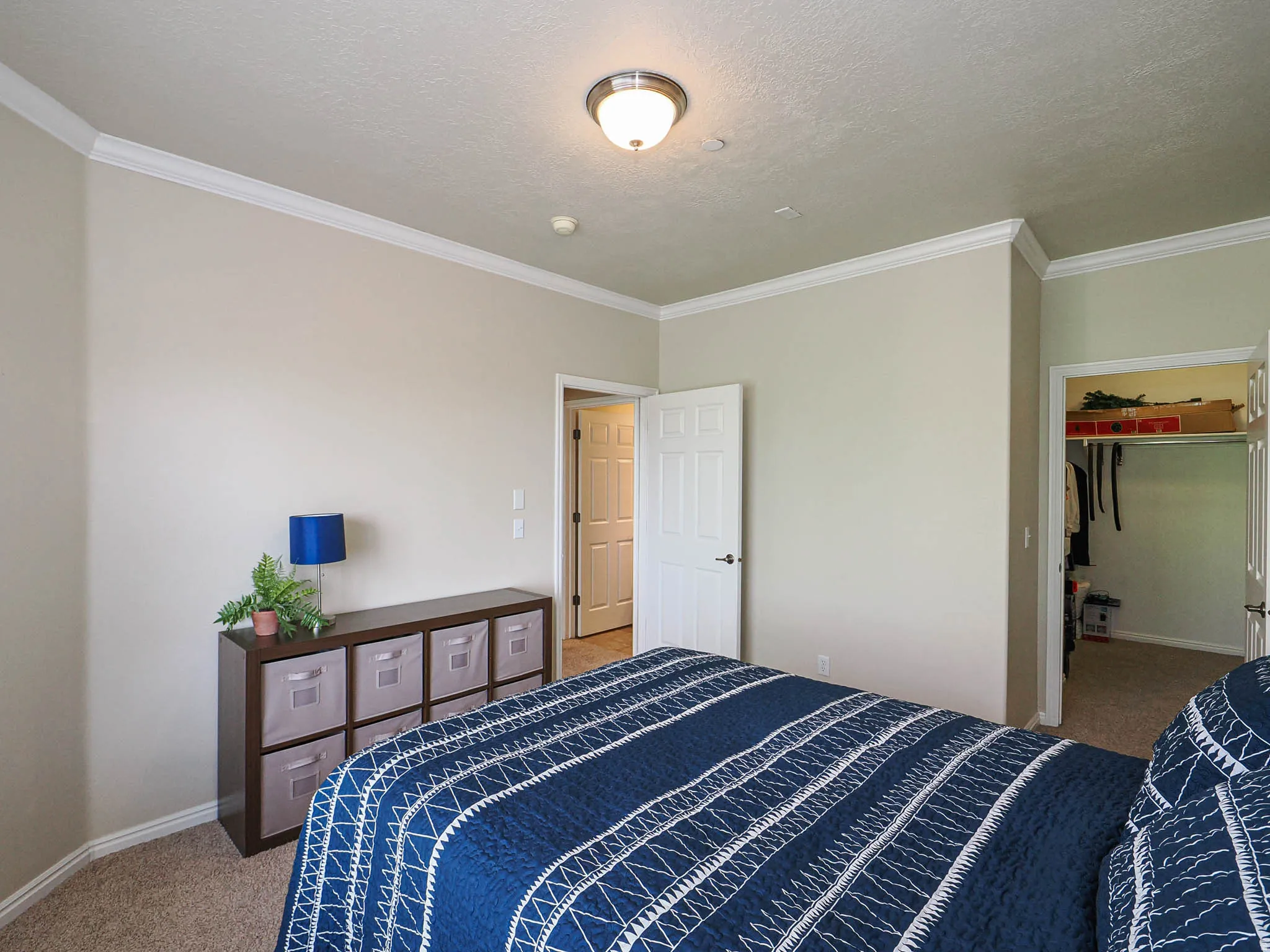 Neutral wall tones with crown molding and carpeted flooring