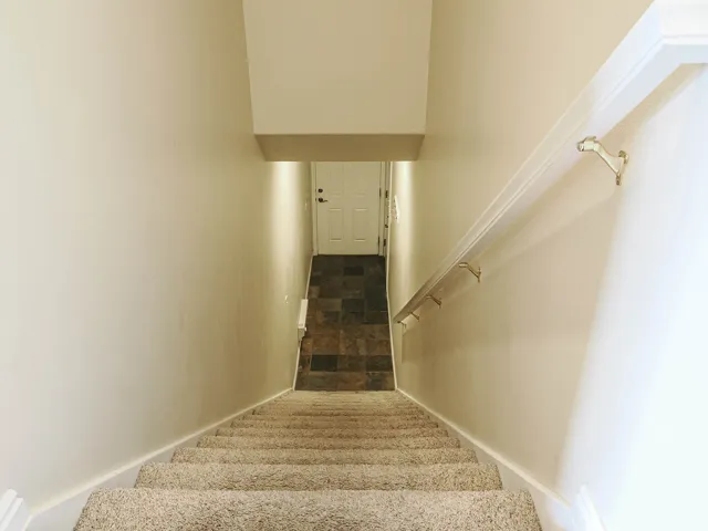 Carpeted staircase with white trim, featuring a white handrail with brass supports