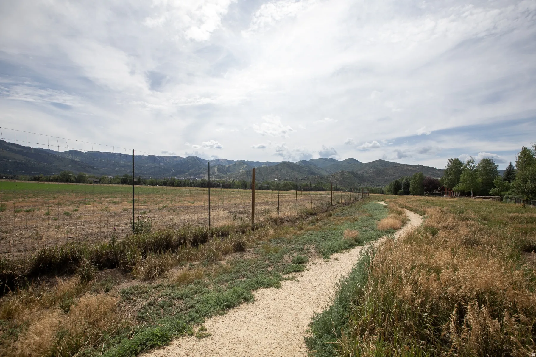 Expansive open field bordered by a wire fence and a winding dirt path