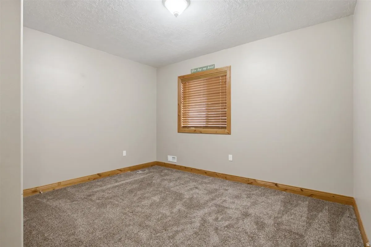 Interior room with neutral wall color, textured carpeting, and wood-finish baseboards