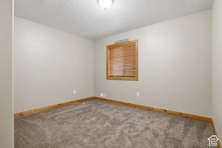Interior room with neutral wall color, textured carpeting, and wood-finish baseboards
