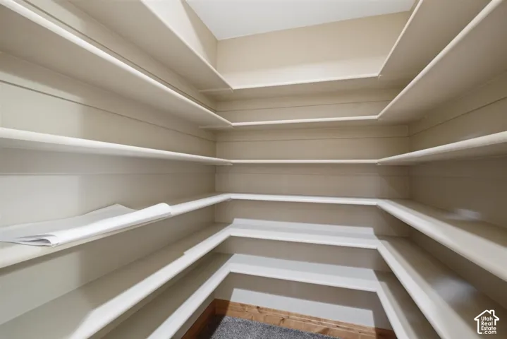 Walk-in pantry featuring extensive built-in shelving, light-toned wall paint, and a carpeted floor with a wood baseboard
