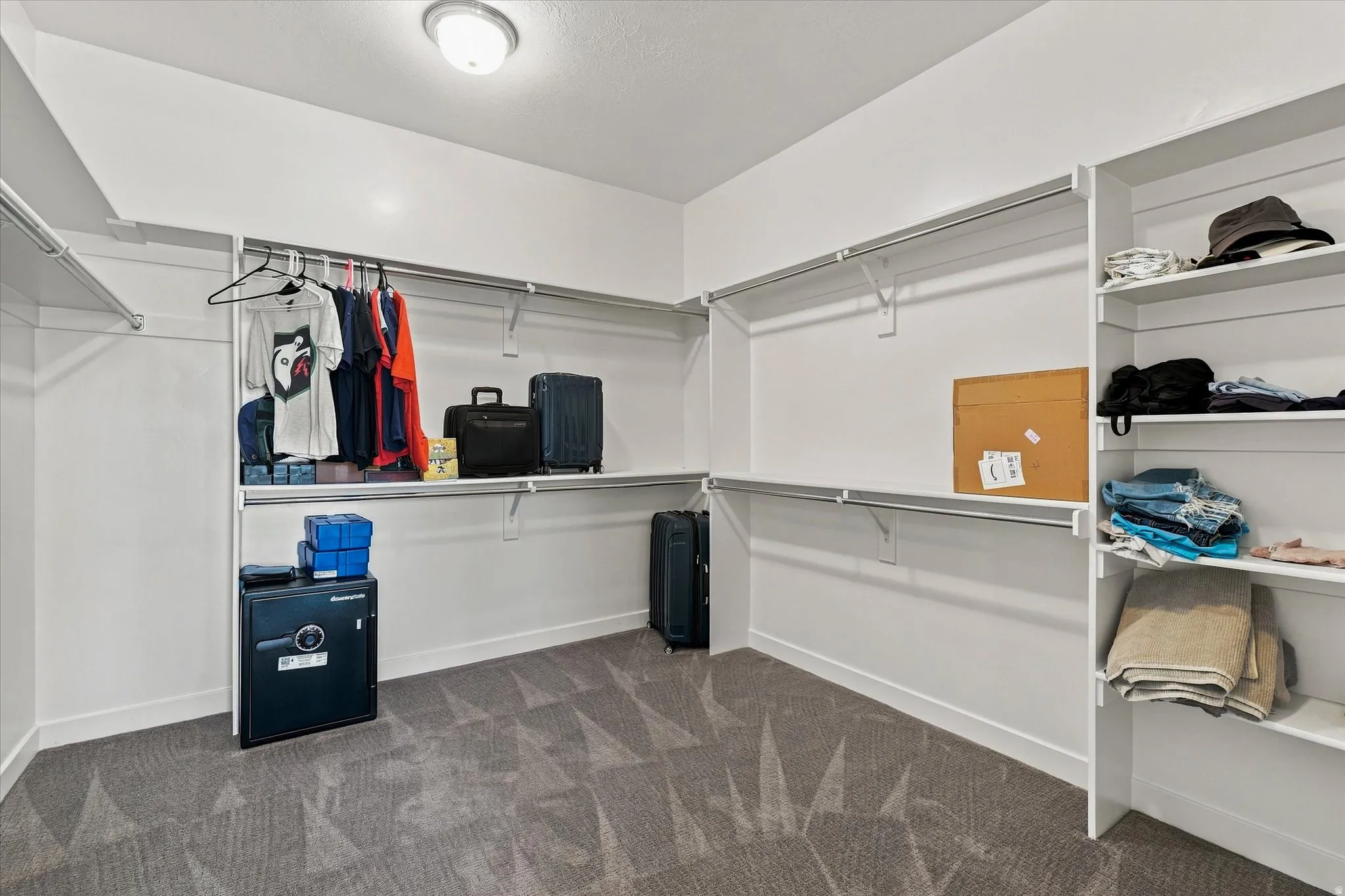 Walk-in closet featuring built-in shelving, hanging rods, patterned carpet flooring, and a flush mount ceiling light