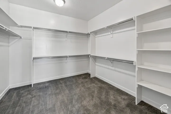Spacious walk-in closet featuring built-in shelving, multiple hanging rods, and dark gray carpeting