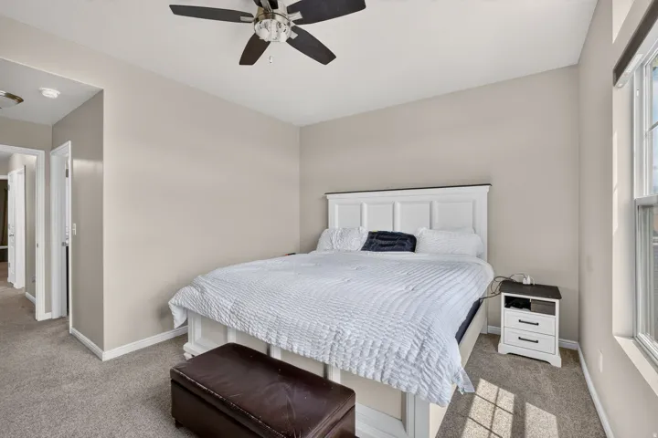 Carpeted room featuring a ceiling fan, a window with natural light, and neutral wall tones