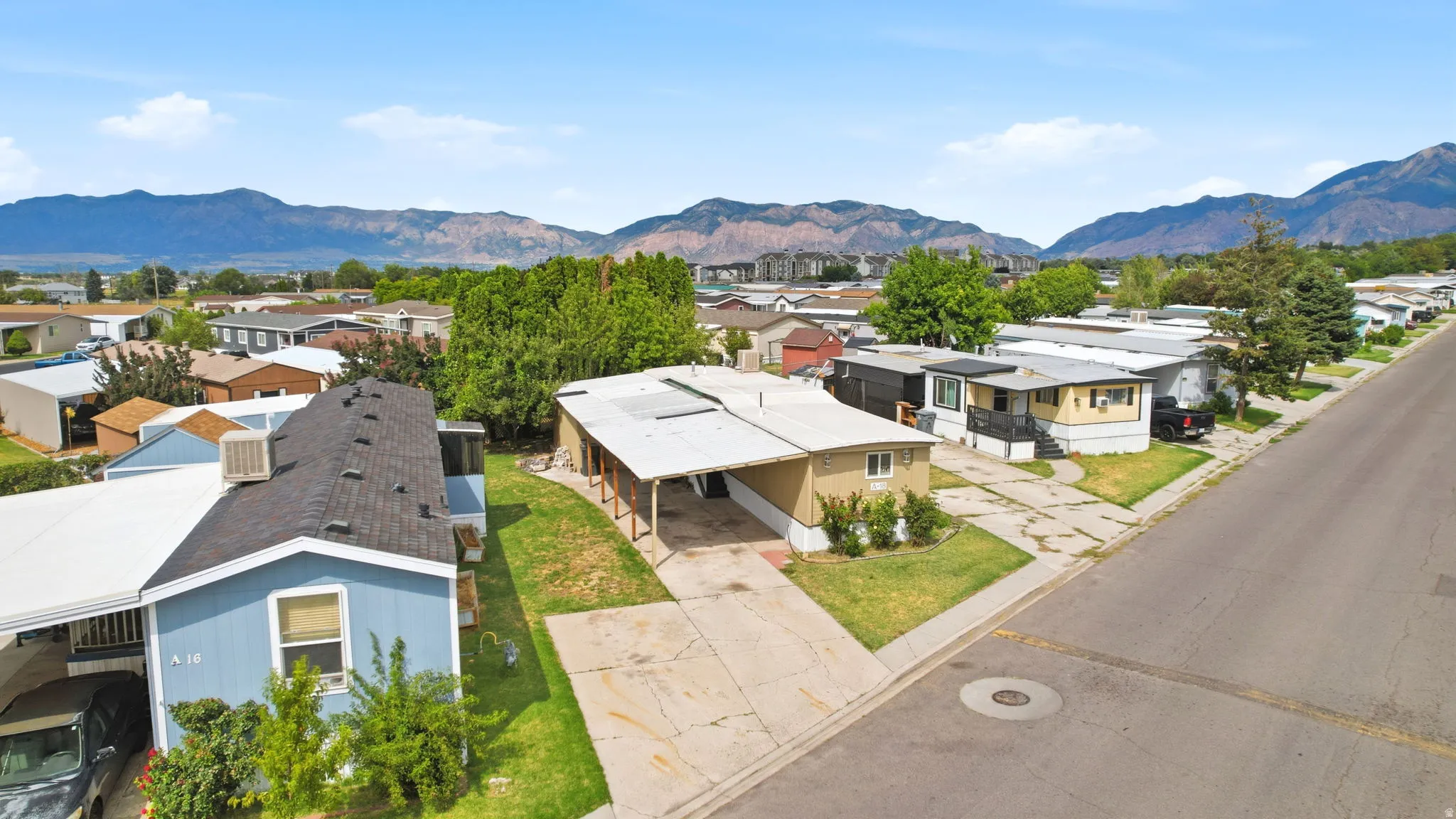 Single-story residence featuring an attached carport and a paved driveway
