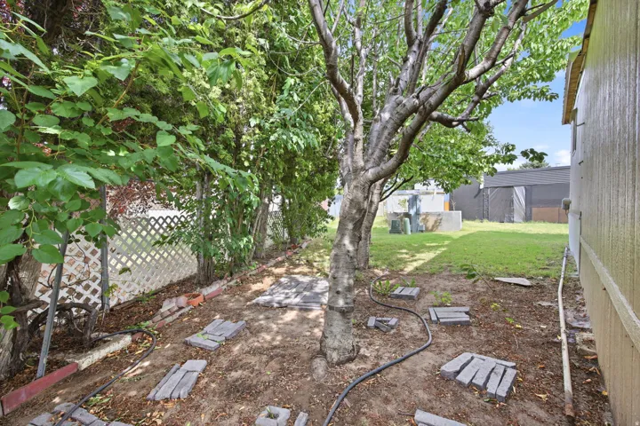 Expansive backyard featuring mature trees, a white lattice fence, and stepping stones