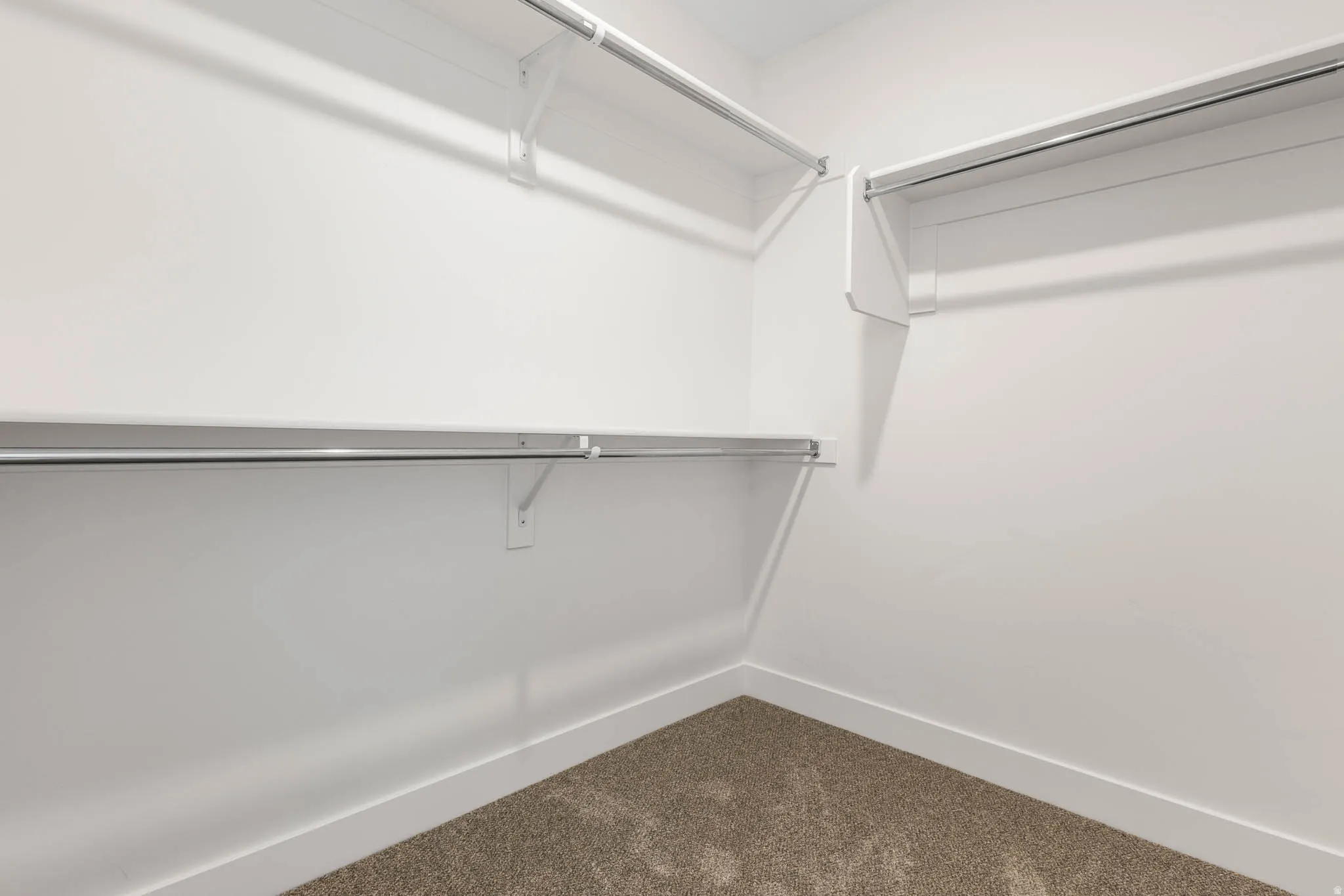 Walk-in closet with carpet flooring, white walls, white shelving, and chrome hanging rods