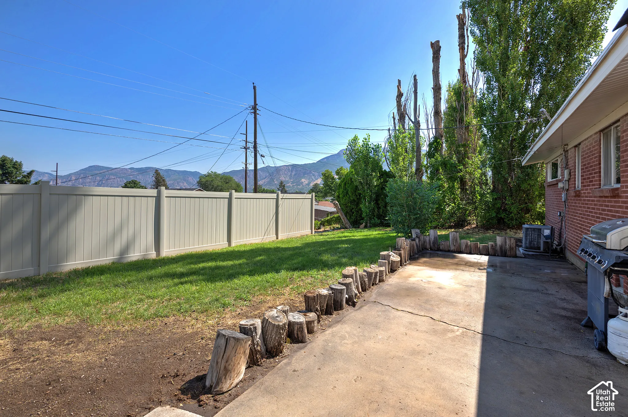 Expansive concrete patio area with a distinct wood-stump border