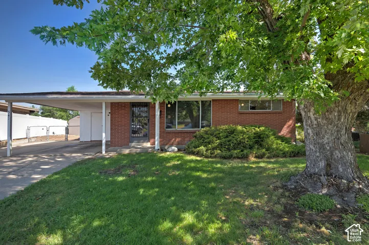 Red brick exterior with a large mature tree providing shade