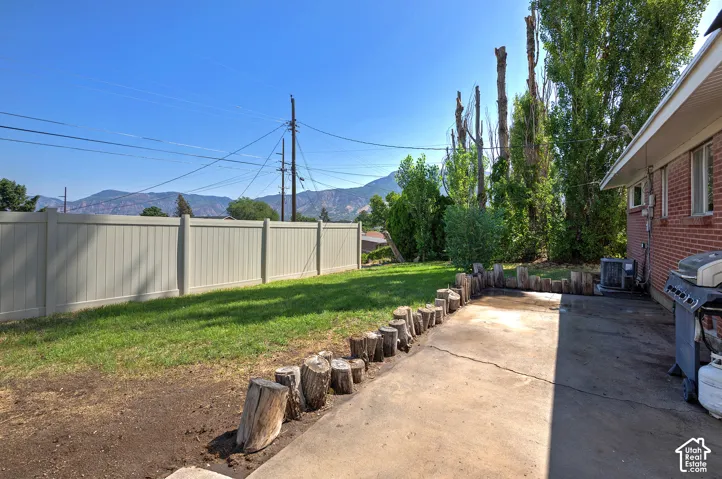 Expansive concrete patio area with a distinct wood-stump border