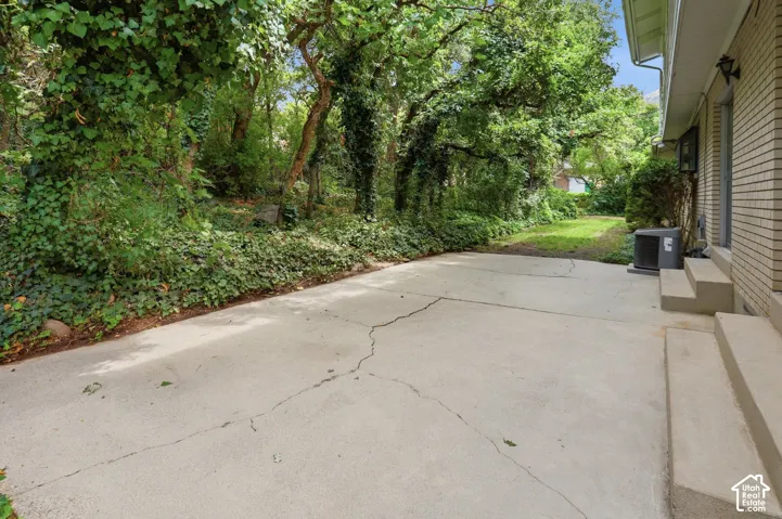 Secluded backyard
