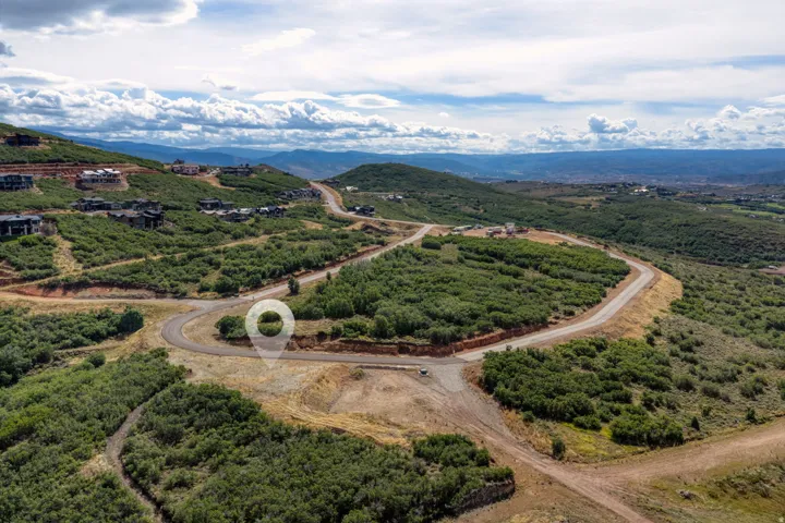 Expansive undeveloped land with a paved road and surrounding natural foliage