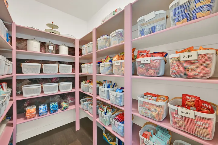 Custom pantry featuring extensive shelving, a corner configuration, and dark wood-finish flooring