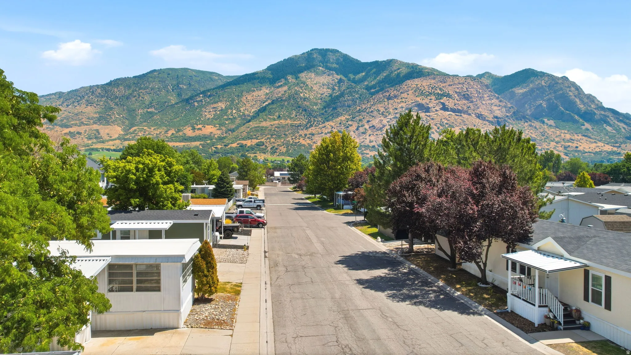 Residential street featuring a clear paved road, mature trees, and mountainous terrain backdrop