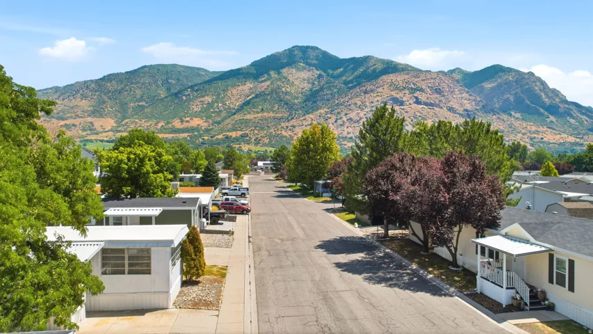 Residential street featuring a clear paved road, mature trees, and mountainous terrain backdrop