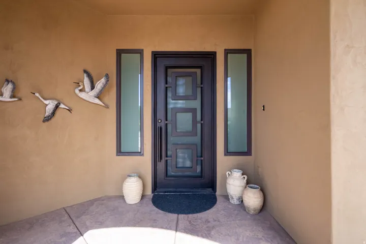 Entryway featuring stucco siding, an ornate dark-framed entry door with square glass panels, and two vertical side windows