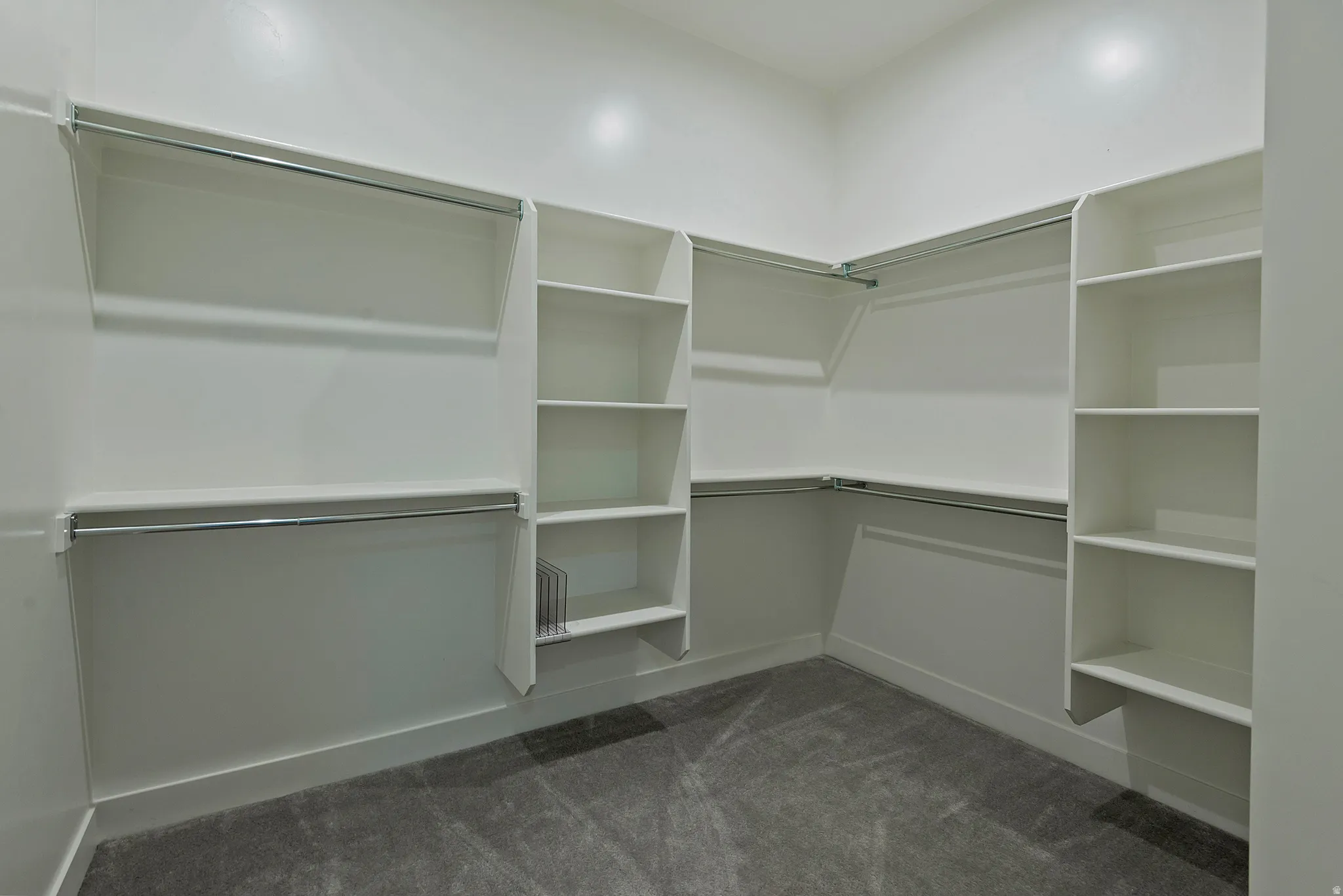 Spacious walk-in closet featuring built-in white shelving, multiple hanging rods, and plush gray carpeting