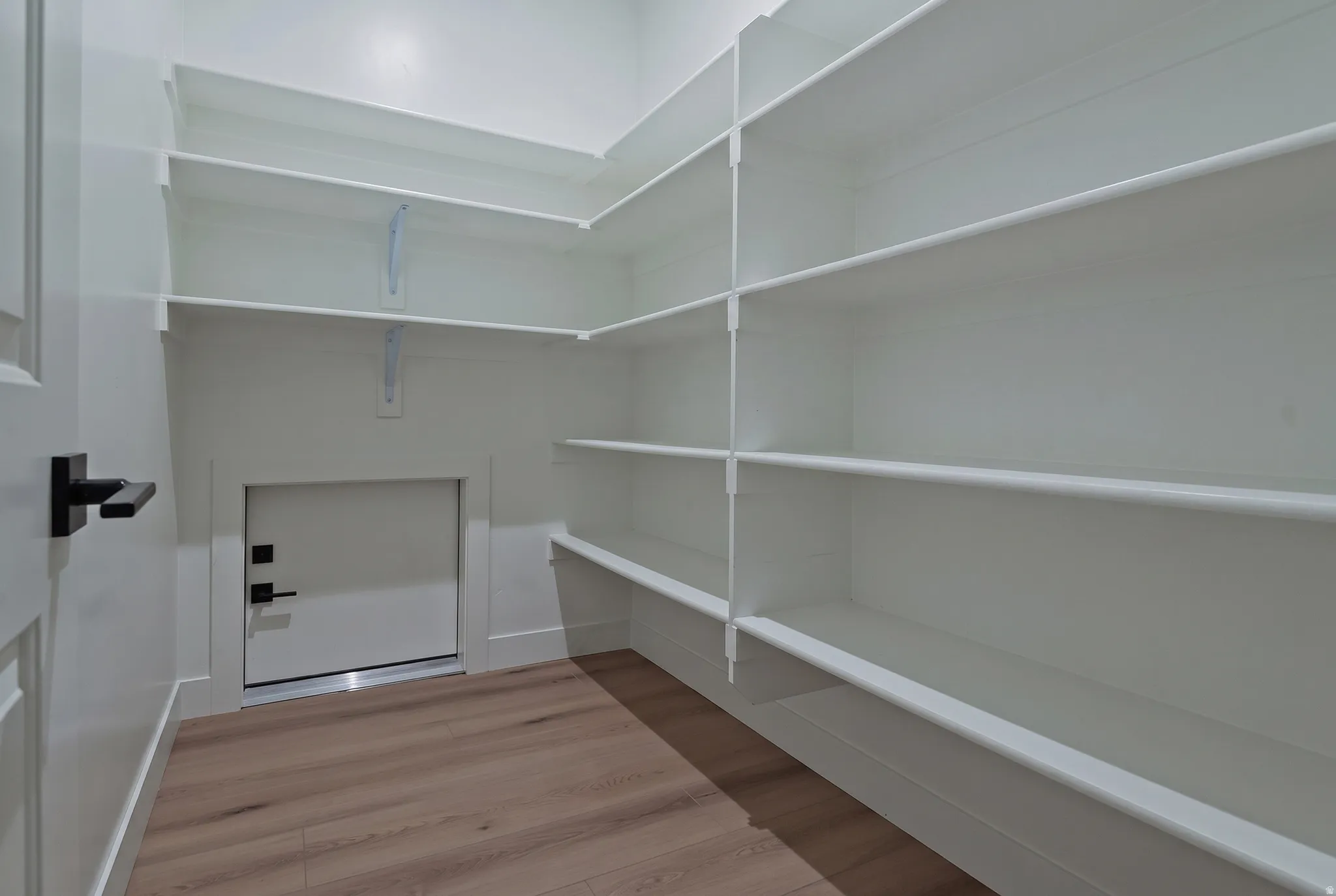 Walk-in pantry featuring extensive built-in shelving, wood-finish flooring, and a secondary access door